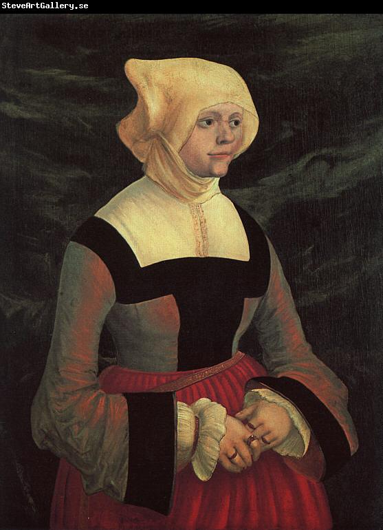 Albrecht Altdorfer Portrait of a Lady